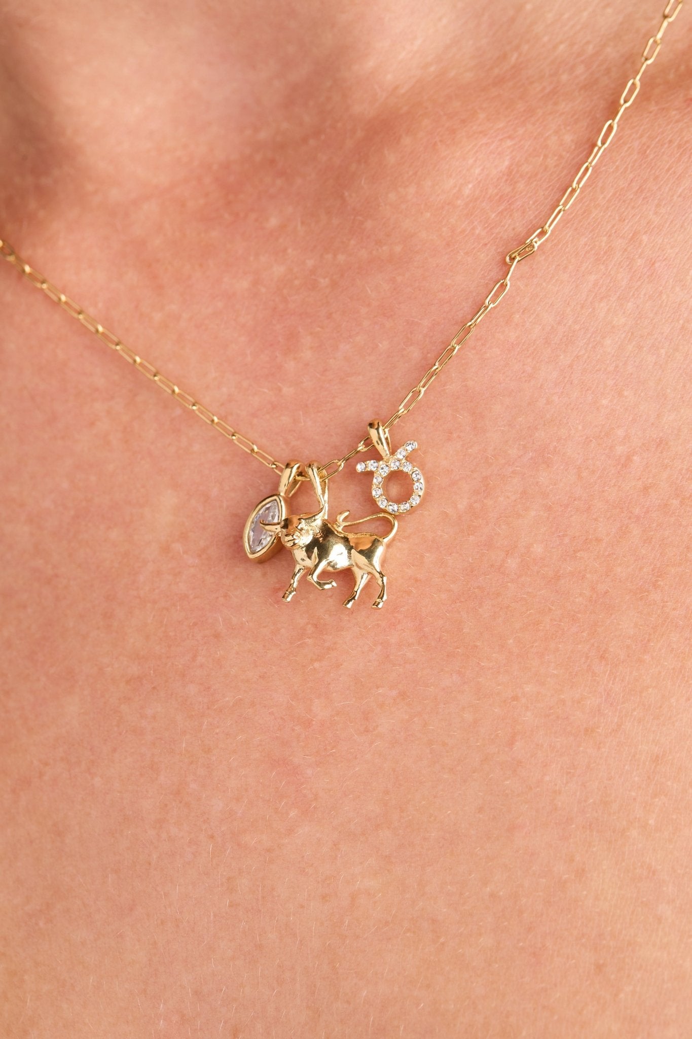Taurus Zodiac Charm Cluster Necklace - Destiny's Beautiful World