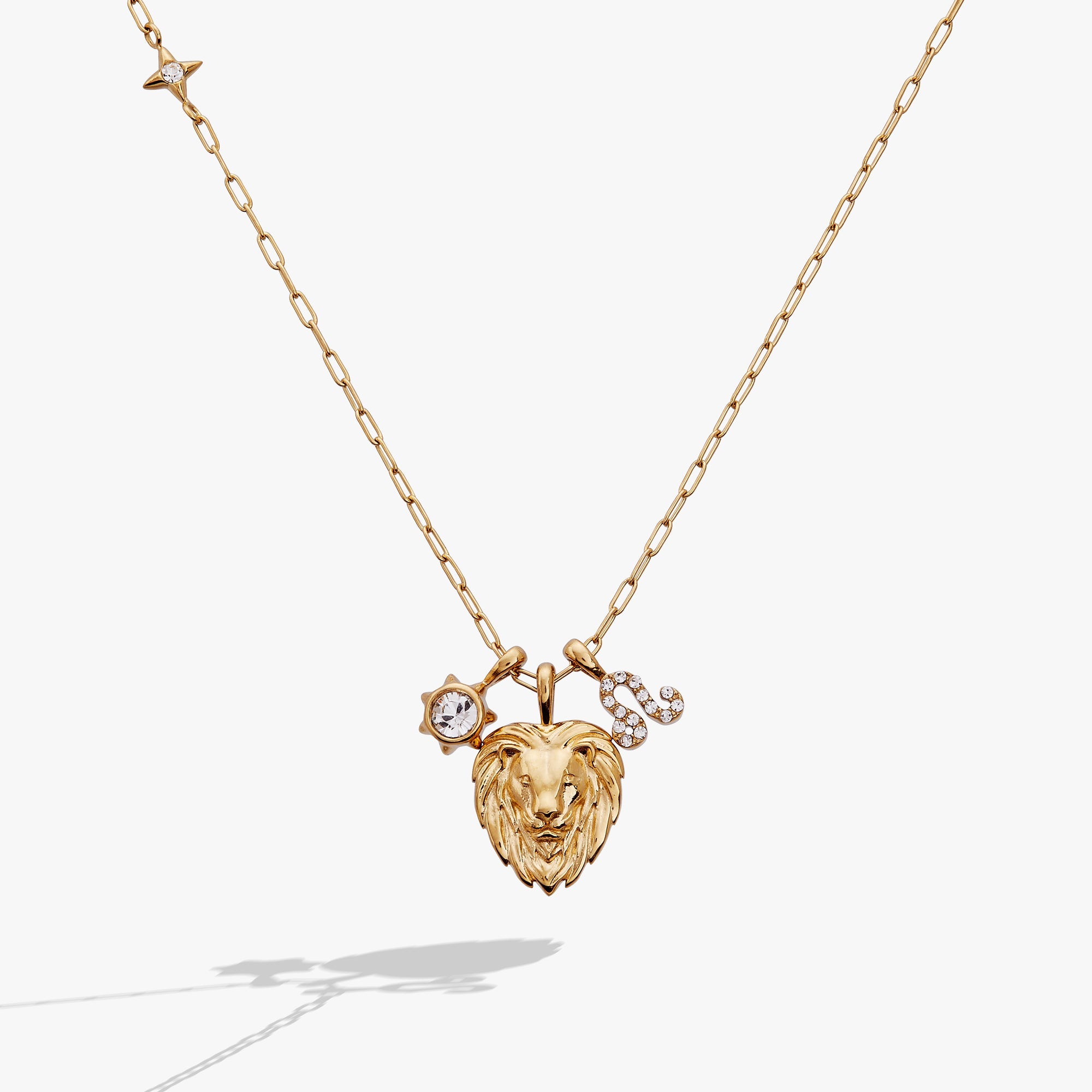 Leo Zodiac Charm Cluster Necklace - Destiny's Beautiful World