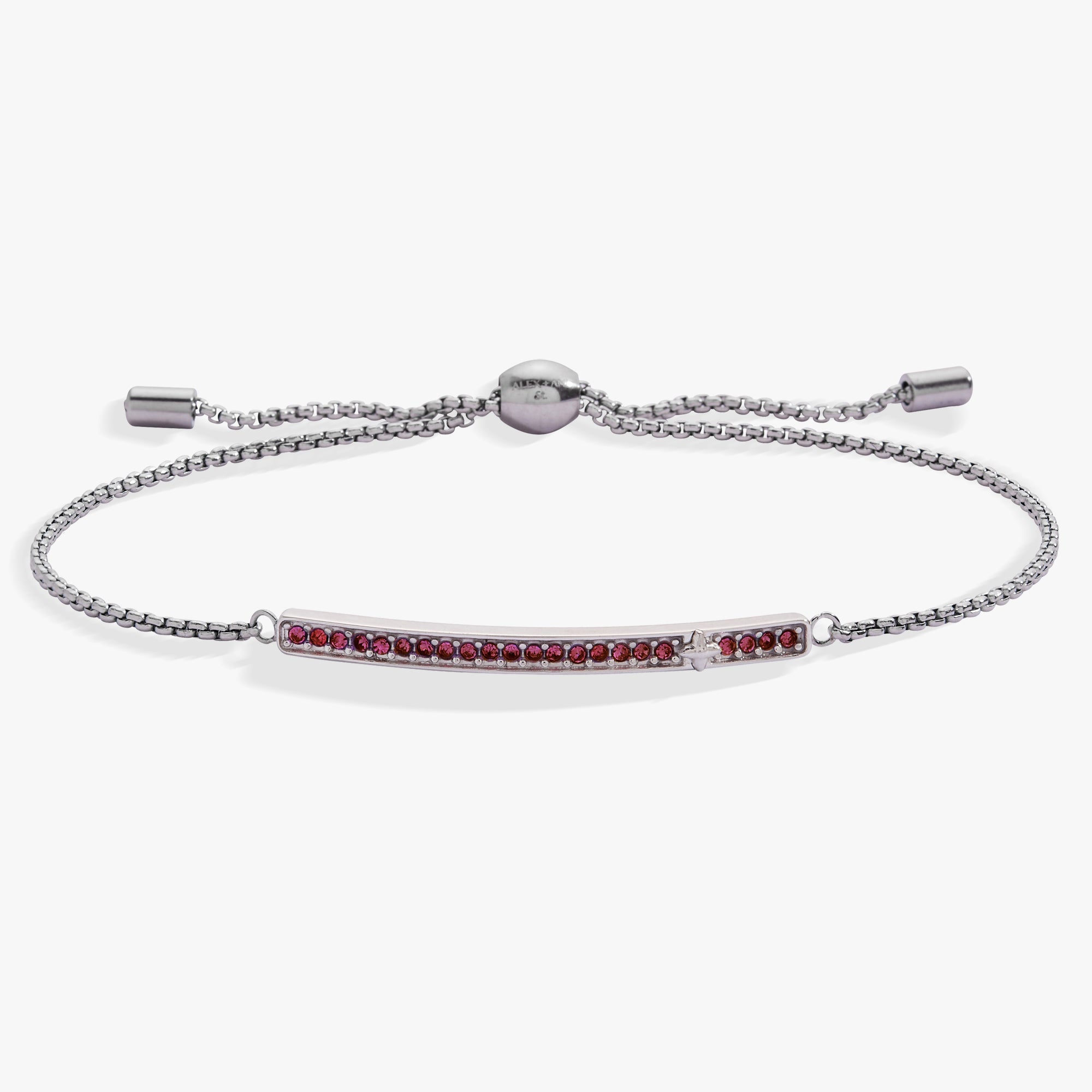February Everyday Birthstone Pave Bolo Bracelet - Destiny's Beautiful World