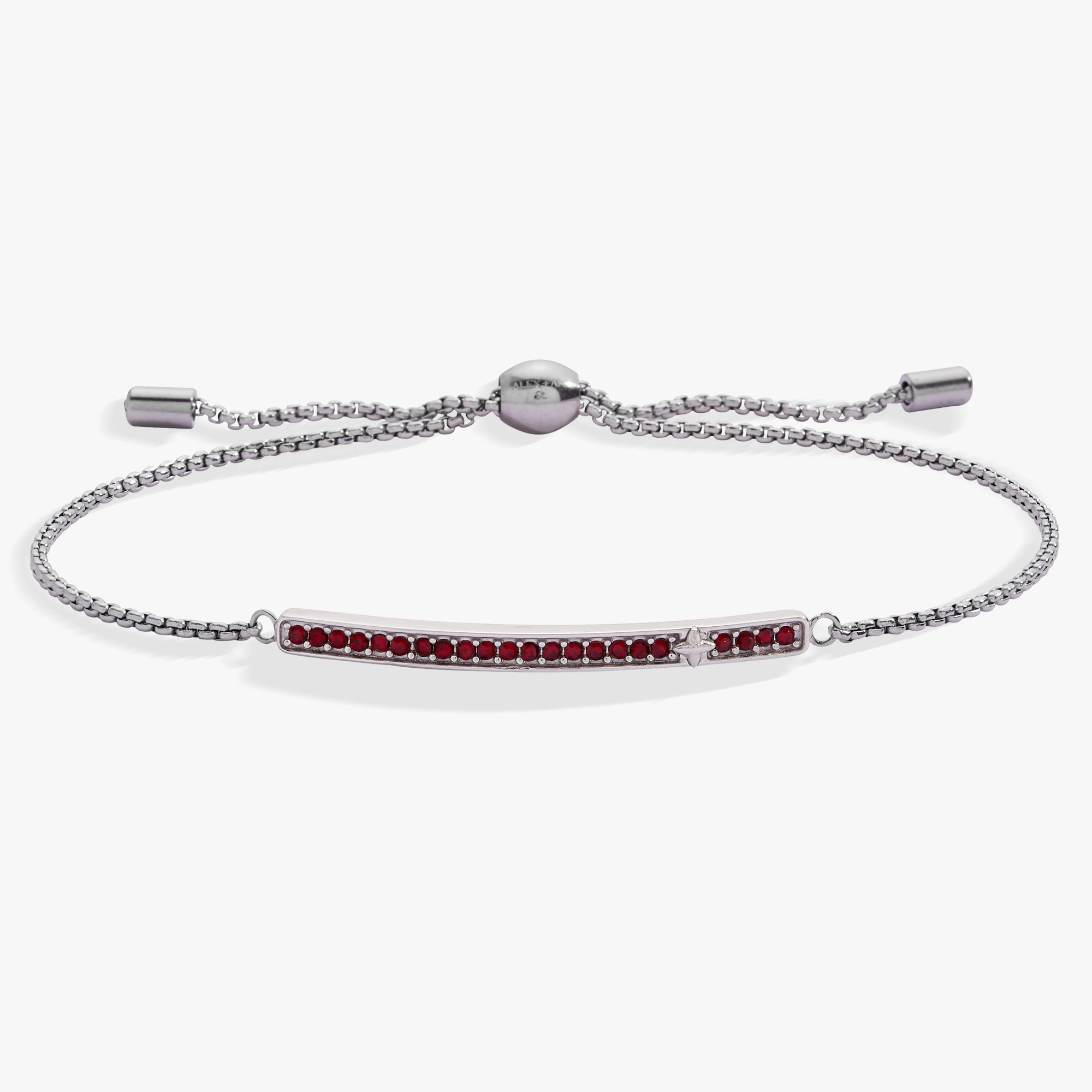 January Everyday Birthstone Pave Bolo Bracelet - Destiny's Beautiful World