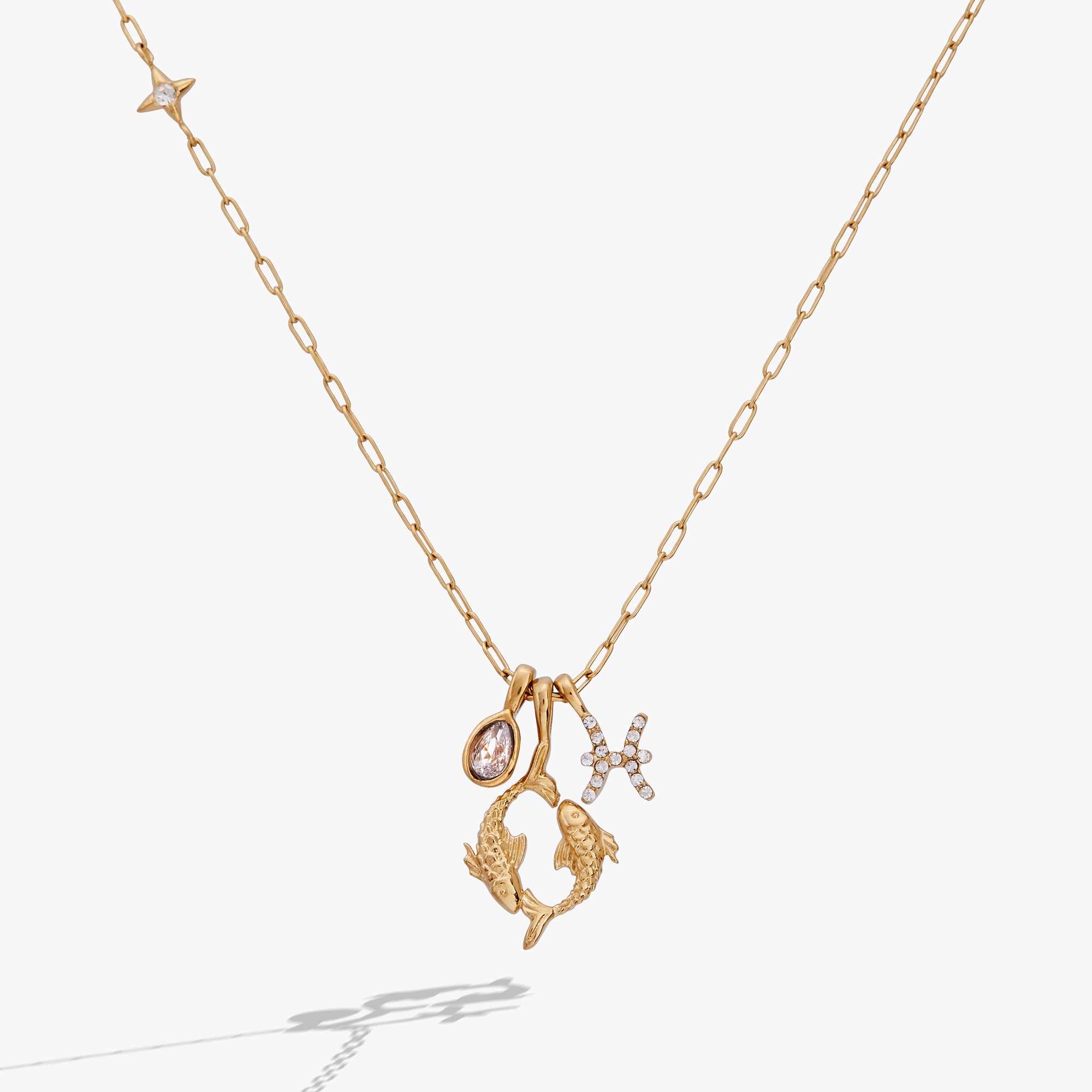 Pisces Zodiac Charm Cluster Necklace - Destiny's Beautiful World