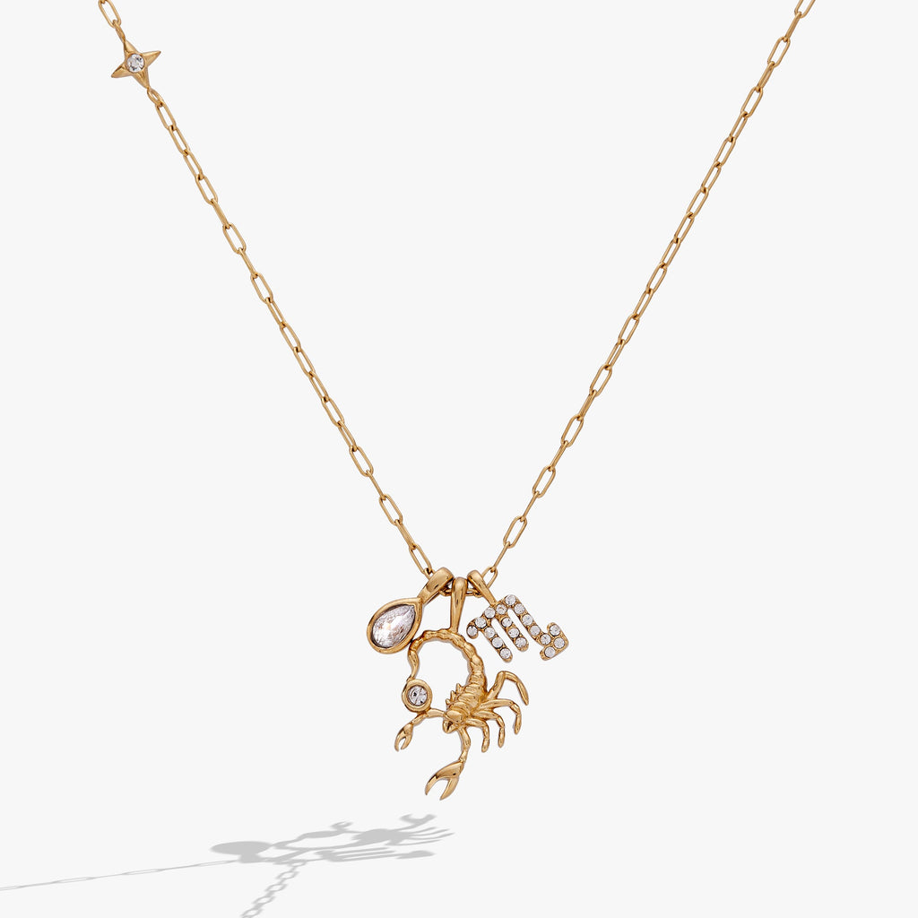 Scorpio Zodiac Charm Cluster Necklace - Destiny's Beautiful World