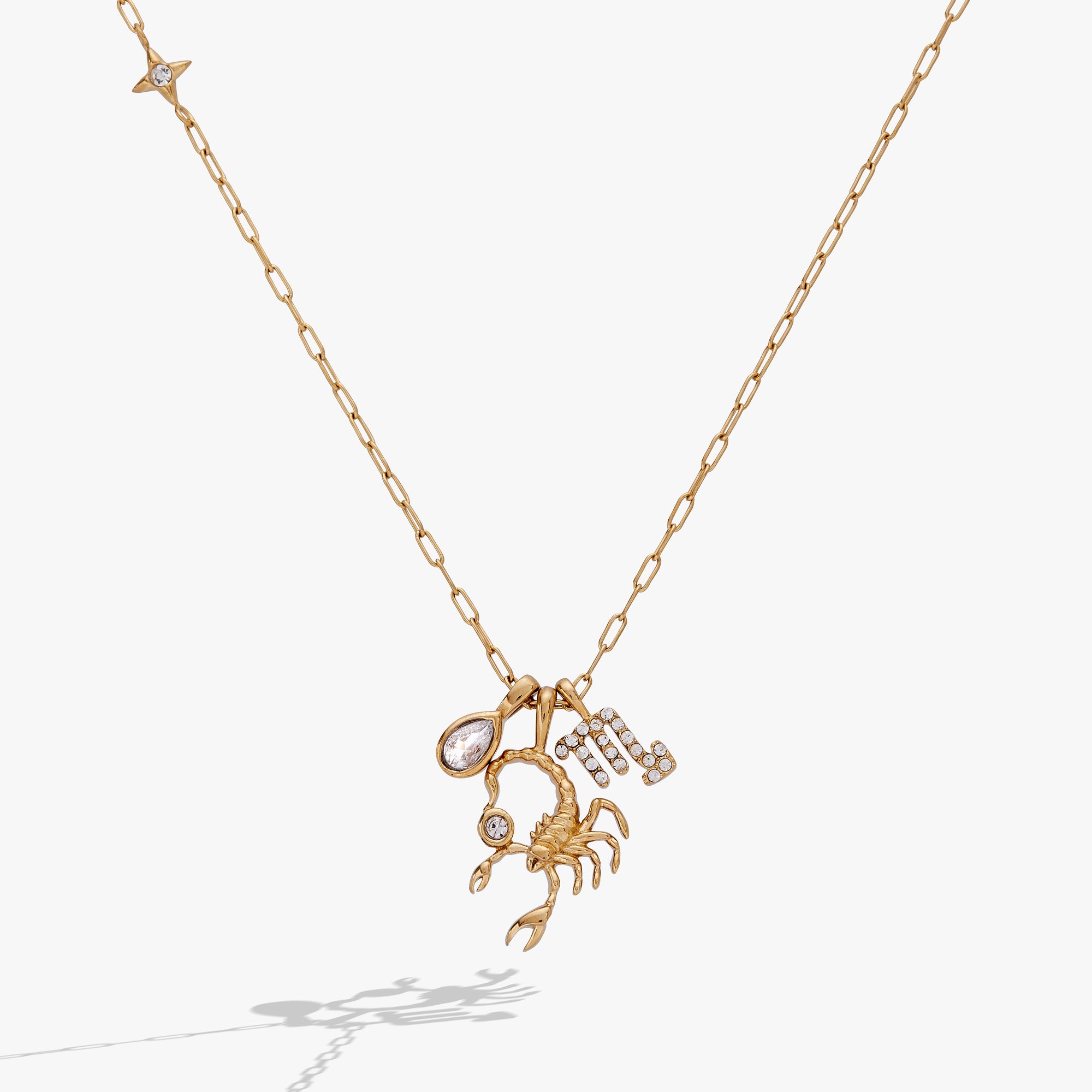 Scorpio Zodiac Charm Cluster Necklace - Destiny's Beautiful World