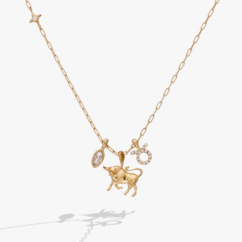 Taurus Zodiac Charm Cluster Necklace - Destiny's Beautiful World